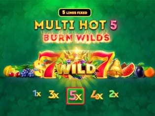 Multi Hot 5 Burn Wilds screenshot